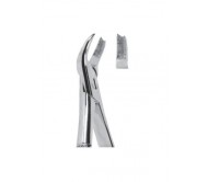 Extracting Forceps